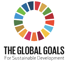 QCIC | Executing the UN’s 17 Sustainability Goals