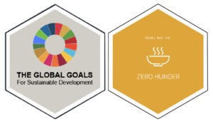 17 UN Sustainable Goals logo featuring the logo of Goal Number 2 - Zero Hunger for Nelson Mandela Day