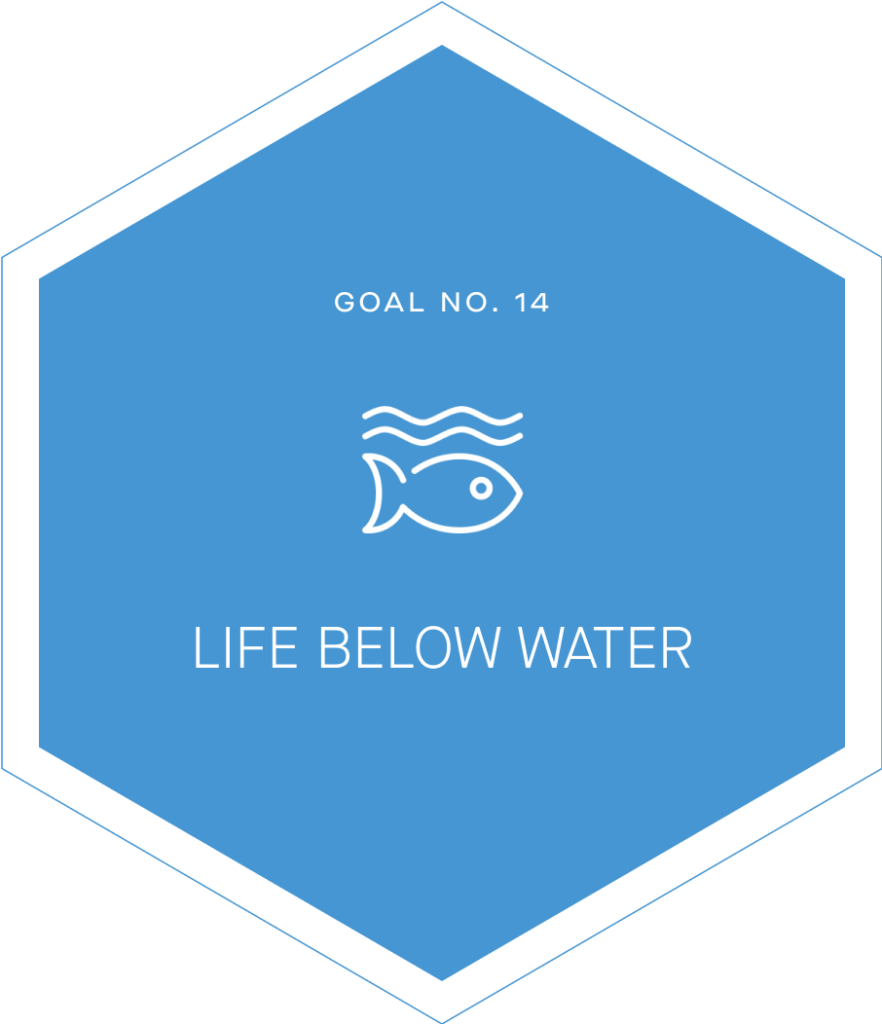 Goal 14 icon designed by UN
